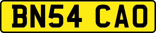 BN54CAO