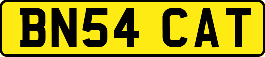 BN54CAT