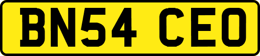 BN54CEO