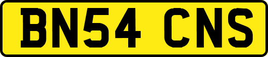 BN54CNS