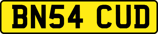 BN54CUD