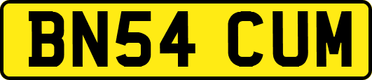 BN54CUM