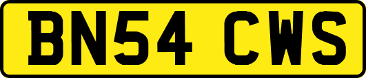 BN54CWS