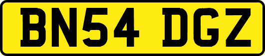 BN54DGZ