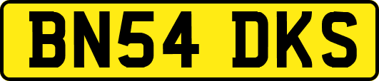 BN54DKS