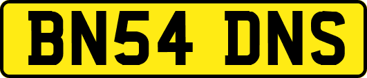 BN54DNS