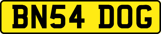 BN54DOG