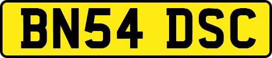 BN54DSC