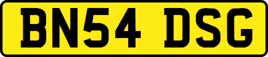 BN54DSG