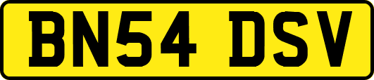 BN54DSV