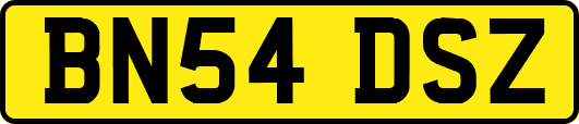 BN54DSZ