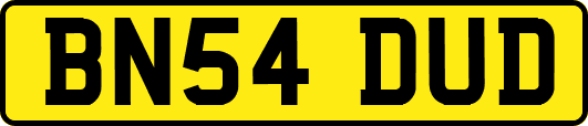 BN54DUD