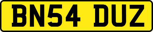 BN54DUZ