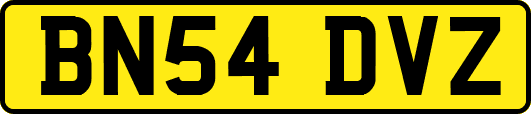 BN54DVZ