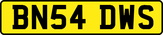 BN54DWS