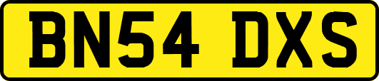 BN54DXS