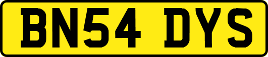 BN54DYS
