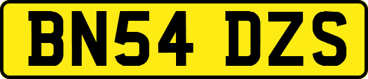 BN54DZS