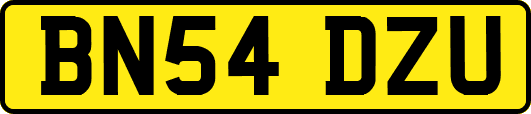 BN54DZU