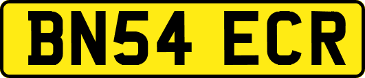 BN54ECR