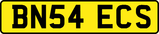 BN54ECS