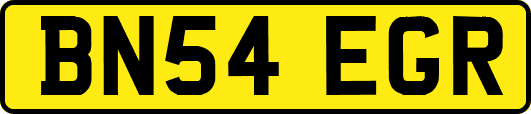 BN54EGR
