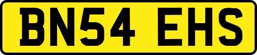 BN54EHS