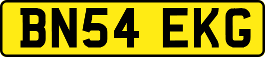 BN54EKG