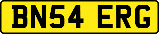 BN54ERG