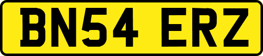 BN54ERZ