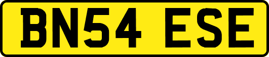 BN54ESE