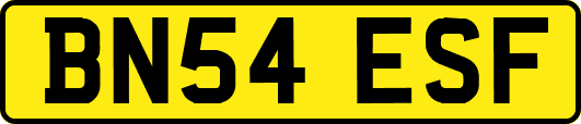 BN54ESF