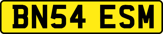 BN54ESM