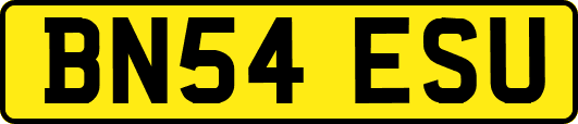BN54ESU