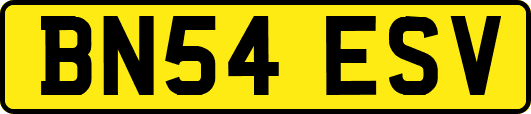 BN54ESV