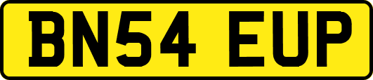 BN54EUP
