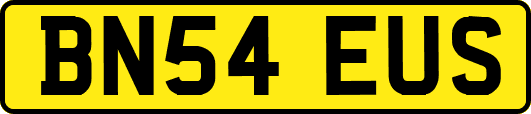BN54EUS