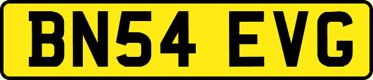 BN54EVG