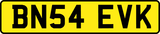 BN54EVK