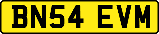 BN54EVM