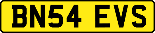 BN54EVS