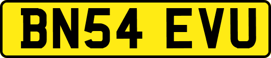 BN54EVU