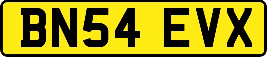 BN54EVX