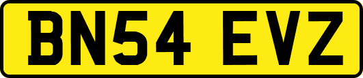 BN54EVZ