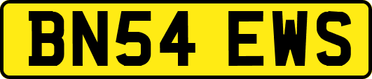 BN54EWS
