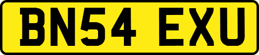 BN54EXU