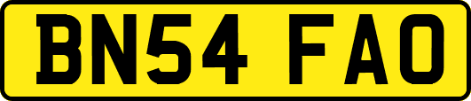 BN54FAO