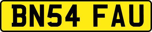 BN54FAU