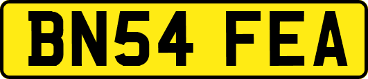 BN54FEA
