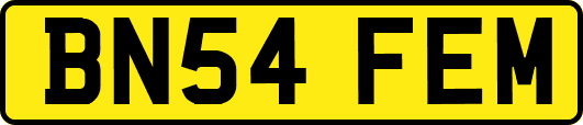 BN54FEM
